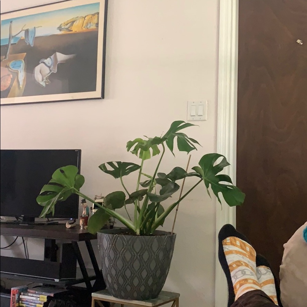 Meet your Posher, Bryan